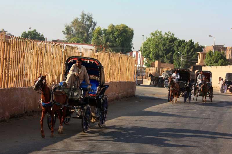 62-Edfu,29 luglio 2009.jpg